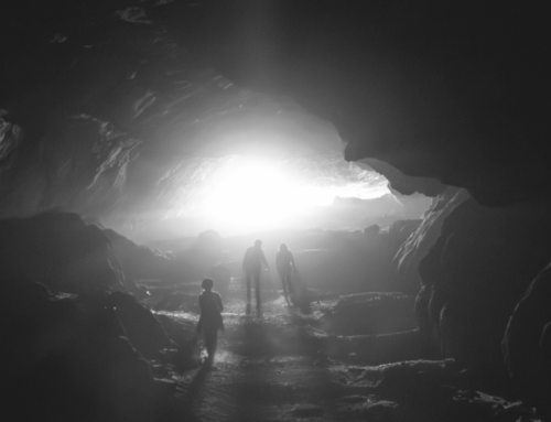 Métadonnées, mimèsis numérique et l’allégorie de la caverne selon Platon